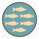 Grupo De Peixes Peixes Mar Ícone