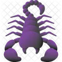 Escorpion Insecto Animal Icono