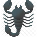 Escorpion Insecto Animal Icono