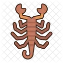 Escorpion Insecto Animal Icono