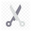 Escritor  Ícone
