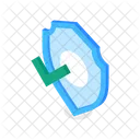 Verificar escudo  Icon