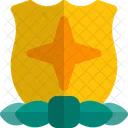 Escudo De Estrella Cruzada Insignia De Estrella Cruzada Medalla De Estrella Cruzada Icono