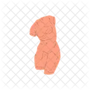 Corpo Torso Feminino Ícone