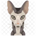 Esfinge  Icon