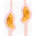 Esophageal  Icon