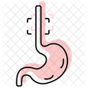 Esophagus Color Shadow Thinline Icon Icon