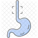 Esophagus Lineal Color Icon Icon