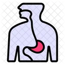 Esophagus Muscular Tube Throat Icon