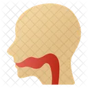 Esophagus Icon