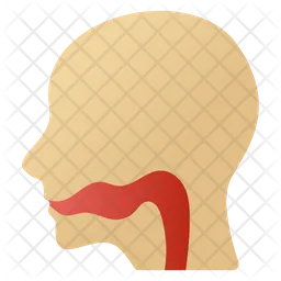 Esophagus  Icon