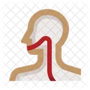 Esophagus  Icon