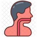 Esophagus Gullet Larynx Icon