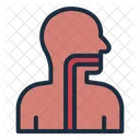 Esophagus  Icon