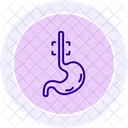 Esophagus Line Icon Icon