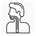 Esophagus  Icon