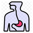 Esophagus Muscular Tube Throat Icône