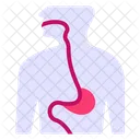 Esophagus Muscular Tube Throat Icône