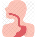 Esophagus  Icône