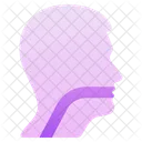 Esophagus  Icon