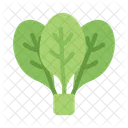 Espanhol Folhas Organico Ícone