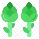 Espárragos  Icono