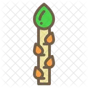 Esparragos Vegetales Alimentos Icono