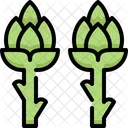 Esparragos Vegetales Fibra Icono