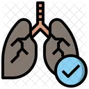 Cuidados De Saude E Medicos Anatomia Pulmoes Ícone