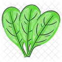 Espinacas Vegetales De Hoja Icono