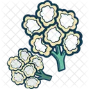 Espinacas  Icono
