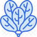 Espinafre  Icon