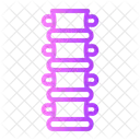 Coluna Vertebral Espinha Dorsal Vertebra Ícone