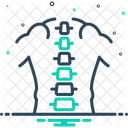 Coluna Vertebral Quiropraxia Ortopedica Ícone