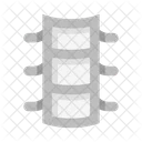 Anatomia Coluna Vertebral Vertebra Ícone