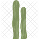 Espostoa Cactus Succulent Icon