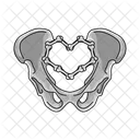 Pelvis Hueso Cadera Icono