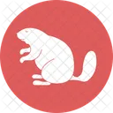 Esquilo Sciuridae Roedores Icon