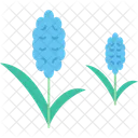Essential Oil Hyacinth Icon