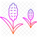 Essential Oil Hyacinth Icon