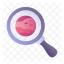 Buscar Lupa Lupa Icono
