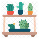 Estante De Cactus Cactus Estante Icono