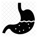 Estomac Organe Digestif Tube Digestif Icône