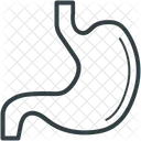 Estomac Anatomie Humain Icône