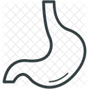Estomac Anatomie Humain Icône
