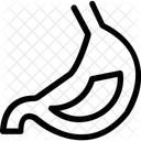 Estomac Organe Gastro Intestinal Icône