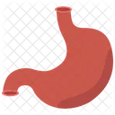 Estomac Organe Corps Icône