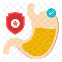 Estomago Digestion Organo Humano Icono