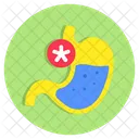 Estomago Digestion Organo Humano Icono
