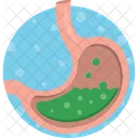 Organo Sistema Digestivo Anatomia Icono